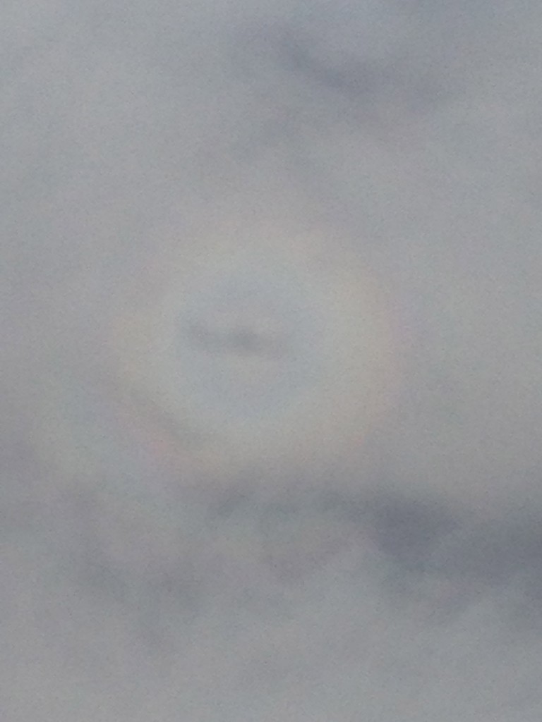 Double rainbow around shadow of plane