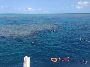 Great Barrier Reef snorkelers